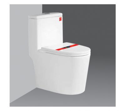 BỒN CẦU LIỀN KHỐI PR-C824