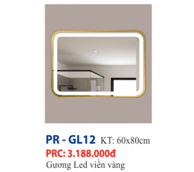 GƯƠNG SOI ĐÈN LED CAO CẤP PR-GL12